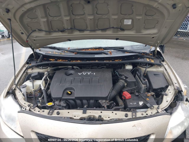 40069124 :رقم المزاد ، 2T1BU40E89C107431 vin ، 2009 Toyota Corolla S/le/xle مزاد بيع