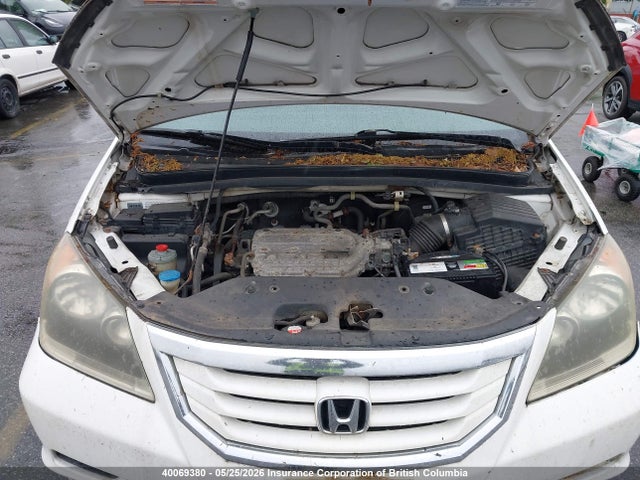 Продаж на аукціоні авто 2008 Honda Odyssey, vin: 5FNRL38298B504372, номер лоту: 40069380