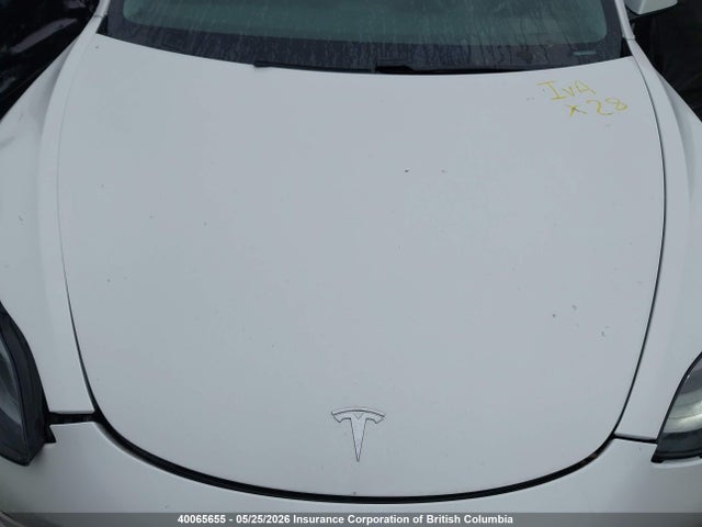 Продаж на аукціоні авто 2021 Tesla Model 3, vin: 5YJ3E1EA0MF985199, номер лоту: 40065655