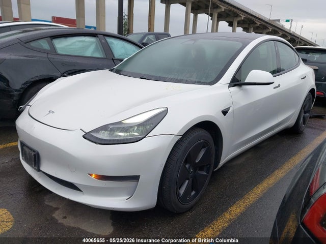 Продаж на аукціоні авто 2021 Tesla Model 3, vin: 5YJ3E1EA0MF985199, номер лоту: 40065655