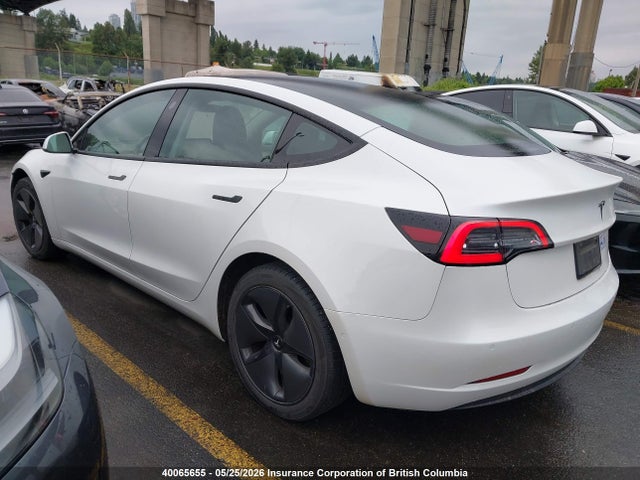 Продаж на аукціоні авто 2021 Tesla Model 3, vin: 5YJ3E1EA0MF985199, номер лоту: 40065655