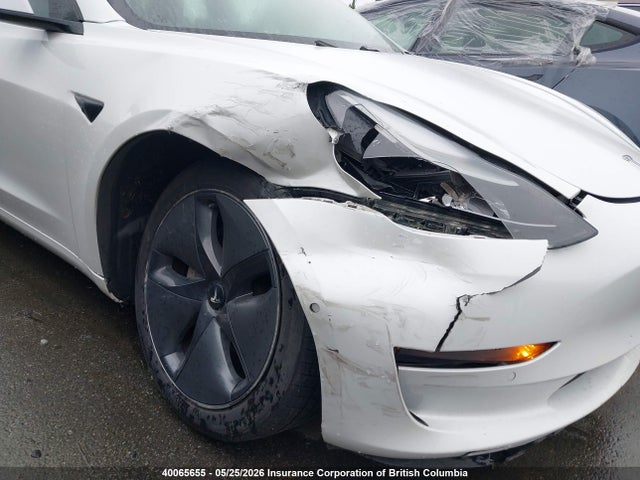 Продаж на аукціоні авто 2021 Tesla Model 3, vin: 5YJ3E1EA0MF985199, номер лоту: 40065655