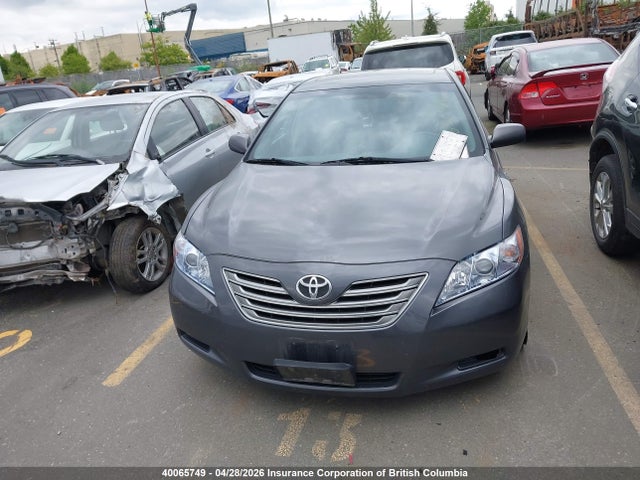 40065749 :رقم المزاد ، 4T1BB46K39U067910 vin ، 2009 Toyota Camry Hybrid مزاد بيع