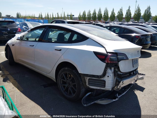 Tesla MODEL 3 2021 5YJ3E1EA6MF027457 Image 3