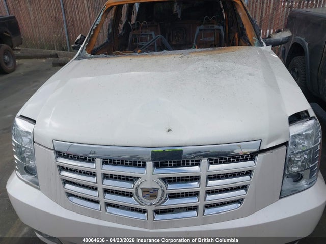 Продаж на аукціоні авто 2010 Cadillac Escalade Hybrid, vin: 1GYUKEEJ6AR265278, номер лоту: 40064636