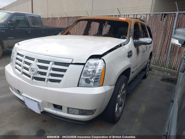 Продаж на аукціоні авто 2010 Cadillac Escalade Hybrid, vin: 1GYUKEEJ6AR265278, номер лоту: 40064636