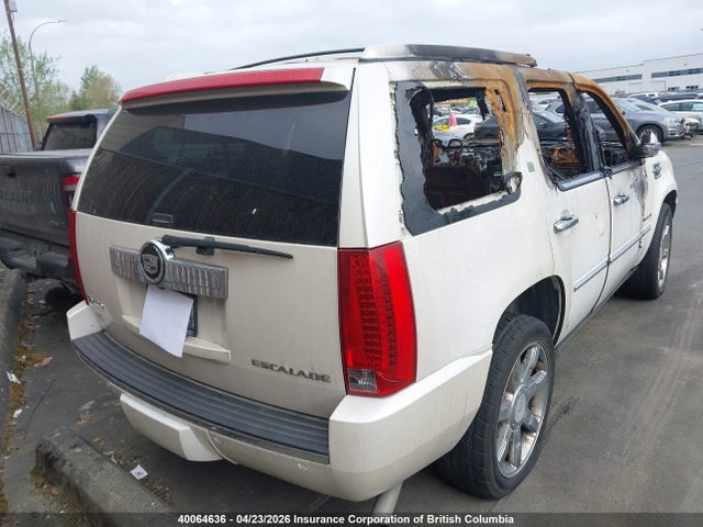 Продаж на аукціоні авто 2010 Cadillac Escalade Hybrid, vin: 1GYUKEEJ6AR265278, номер лоту: 40064636