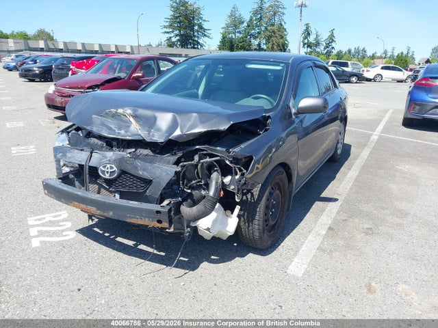 2009 Toyota Corolla S/le/xle მანქანა იყიდება აუქციონზე, vin: 2T1BU40E99C159781, აუქციონის ნომერი: 40066786