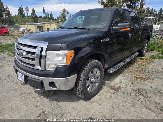 2009 Ford F150 მანქანა იყიდება აუქციონზე, vin: 1FTPW14V59FA07075, აუქციონის ნომერი: 40070341
