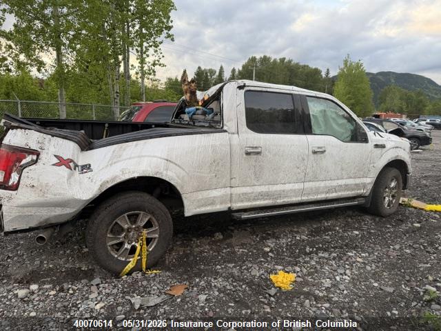 Продажа на аукционе авто 2015 Ford F150, vin: 1FTFW1EF5FFA36123, номер лота: 40070614