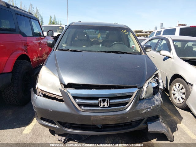 40066485 :رقم المزاد ، 5FNRL38635B502244 vin ، 2005 Honda Odyssey Exl مزاد بيع