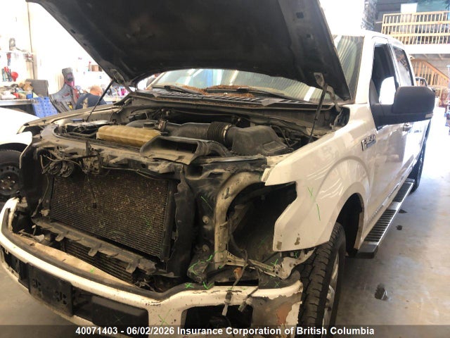 Продаж на аукціоні авто 2019 Ford F150, vin: 1FTFW1E44KKD09374, номер лоту: 40071403