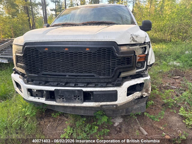 Продаж на аукціоні авто 2019 Ford F150, vin: 1FTFW1E44KKD09374, номер лоту: 40071403