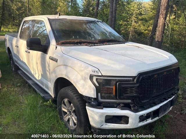 Продаж на аукціоні авто 2019 Ford F150, vin: 1FTFW1E44KKD09374, номер лоту: 40071403