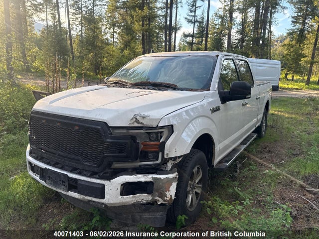 Продаж на аукціоні авто 2019 Ford F150, vin: 1FTFW1E44KKD09374, номер лоту: 40071403