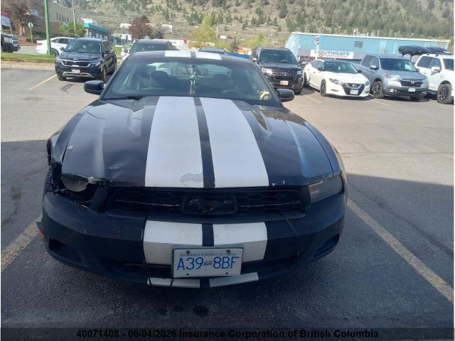 2010 Ford Mustang V6/value Leader მანქანა იყიდება აუქციონზე, vin: 1ZVBP8AN2A5128853, აუქციონის ნომერი: 40071408