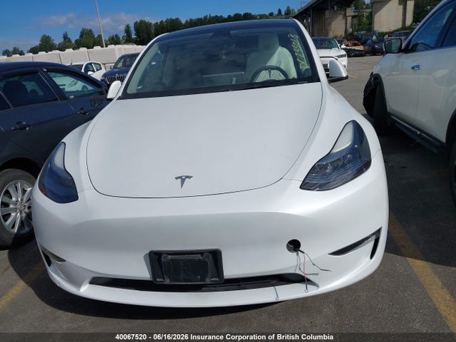 Tesla Model Y 2023 LRWYGDEE8PC161633 Image 11