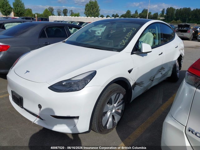 Tesla Model Y 2023 LRWYGDEE8PC161633 Image 2