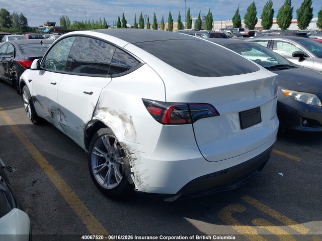 Tesla Model Y 2023 LRWYGDEE8PC161633 Image 3