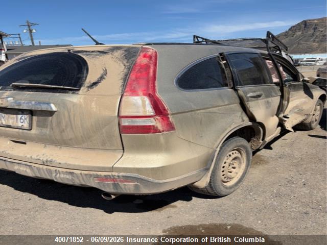 Продаж на аукціоні авто 2007 Honda Cr-v, vin: 5J6RE48777L817485, номер лоту: 40071852
