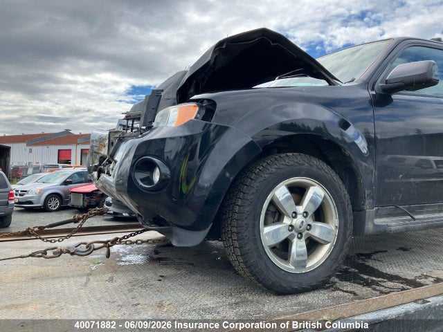 Продаж на аукціоні авто 2011 Ford Escape Limited, vin: 1FMCU9EG0BKC44486, номер лоту: 40071882