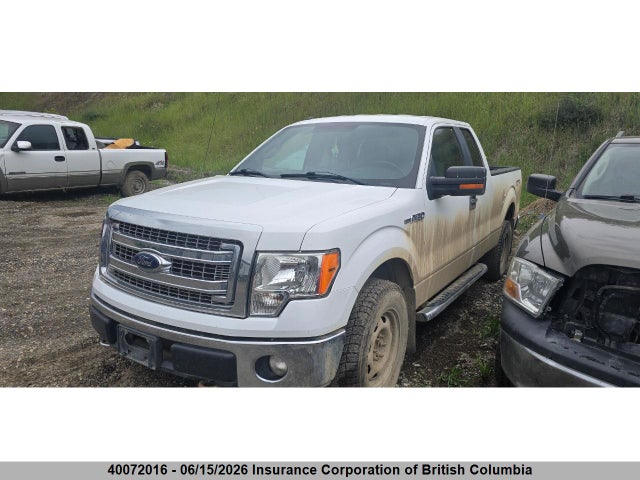 Продажа на аукционе авто 2013 Ford F150, vin: 1FTFX1EF1DKF56384, номер лота: 40072016