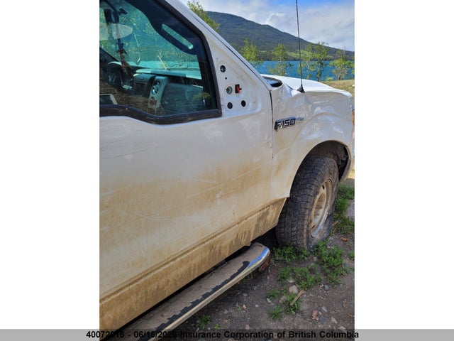 Продажа на аукционе авто 2013 Ford F150, vin: 1FTFX1EF1DKF56384, номер лота: 40072016