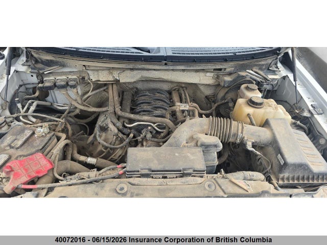 Продажа на аукционе авто 2013 Ford F150, vin: 1FTFX1EF1DKF56384, номер лота: 40072016