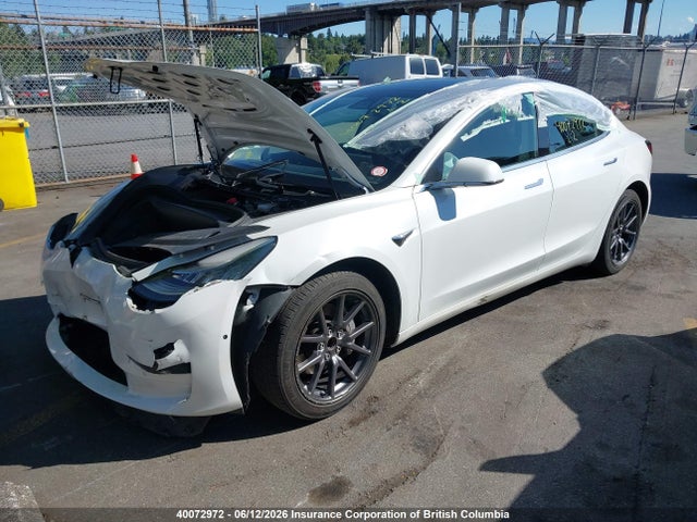 Tesla MODEL 3 2020 5YJ3E1EA1LF794373 Image 2