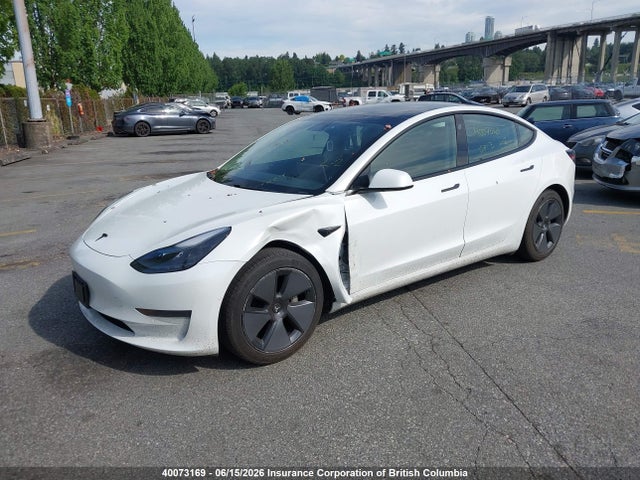 Tesla MODEL 3 2021 5YJ3E1EA8MF907608 Image 2