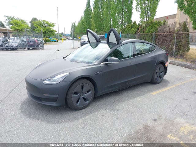 Tesla MODEL 3 2019 5YJ3E1EA6KF323835 Image 2