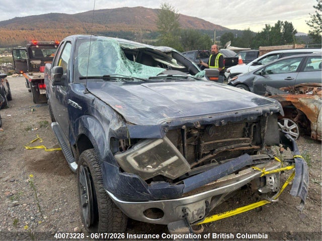 Продажа на аукционе авто 2012 Ford F150, vin: 1FTFX1EF0CFA16418, номер лота: 40073228