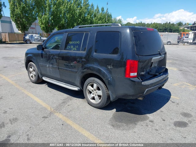 40073243 :رقم المزاد ، 5FNYF4H56AB505097 vin ، 2010 Honda Pilot مزاد بيع