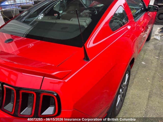 Продажа на аукционе авто 2013 Ford Mustang, vin: 1ZVBP8AM8D5246806, номер лота: 40073285