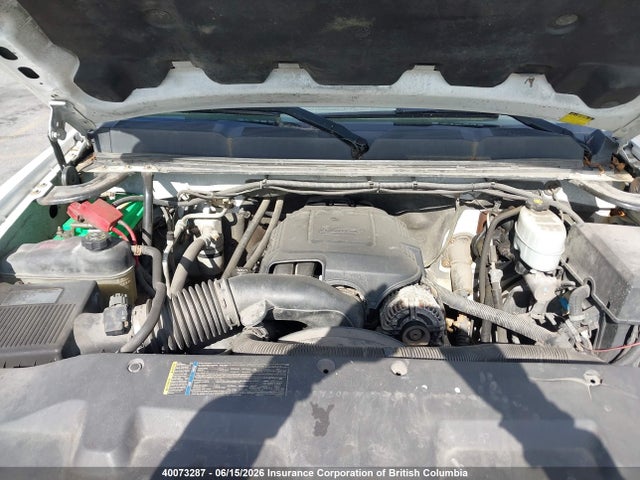 Aukcja sprzedaży 2010 Chevrolet Silverado 2500hd Lt, vin: 1GC4KXBG6AF113125, numer aukcji: 40073287