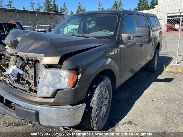 Aukcja sprzedaży 2009 Ford F150, vin: 1FTRW14819FA82407, numer aukcji: 40073290
