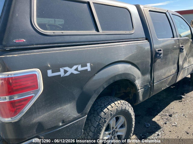 Aukcja sprzedaży 2009 Ford F150, vin: 1FTRW14819FA82407, numer aukcji: 40073290