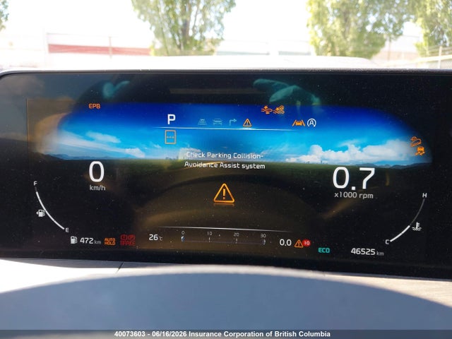 Продаж на аукціоні авто 2024 Kia Telluride Sx/sx Limited/x-line/x-pro, vin: 5XYP5DGC3RG449493, номер лоту: 40073603