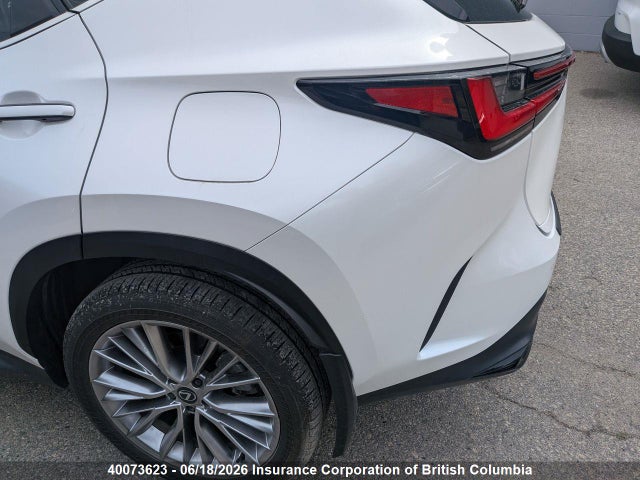 40073623 :رقم المزاد ، 2T2GKCEZ2SC038948 vin ، 2025 Lexus Nx 350h مزاد بيع