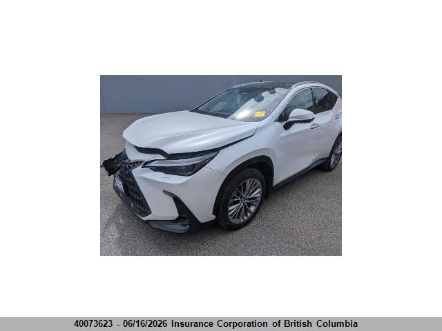 40073623 :رقم المزاد ، 2T2GKCEZ2SC038948 vin ، 2025 Lexus Nx 350h مزاد بيع
