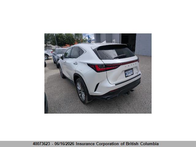 Lexus NX 350H 2025 2T2GKCEZ2SC038948 Image 39