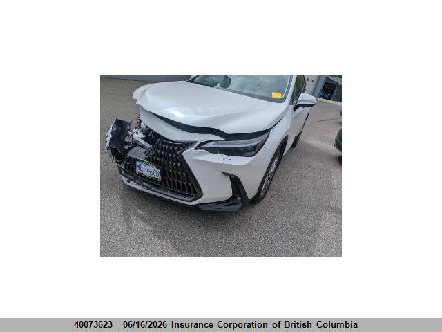 40073623 :رقم المزاد ، 2T2GKCEZ2SC038948 vin ، 2025 Lexus Nx 350h مزاد بيع