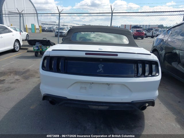 Ford Mustang 2019 1FATP8UH7K5177258 Image 17