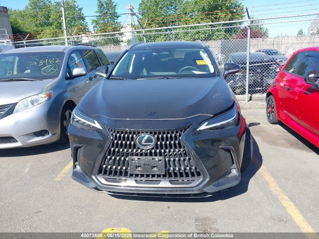 Продажа на аукционе авто 2023 Lexus Nx 350h 350h, vin: 2T2GKCEZ0PC015028, номер лота: 40073686