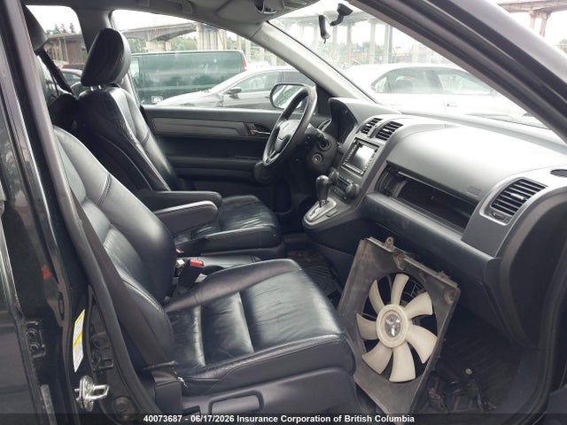 Продаж на аукціоні авто 2008 Honda Cr-v, vin: 5J6RE48798L805713, номер лоту: 40073687