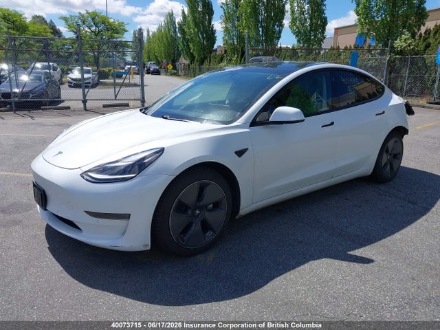 Tesla MODEL 3 2021 5YJ3E1EA5MF016515 Image 2