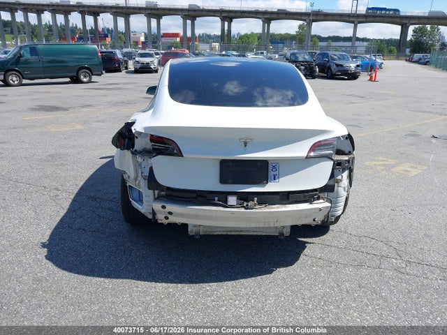 Tesla MODEL 3 2021 5YJ3E1EA5MF016515 Image 6