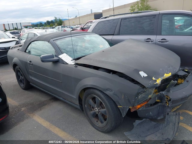 Продажа на аукционе авто 2006 Ford Mustang, vin: 1ZVFT84N965225564, номер лота: 40072243