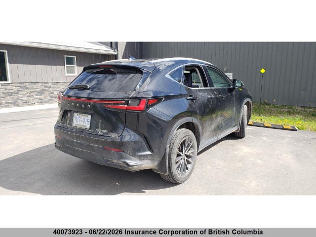 Lexus NX 350H 2022 2T2GKCEZ1NC001412 Image 3