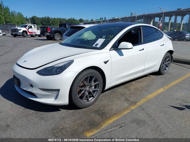 Tesla MODEL 3 2021 5YJ3E1EA7MF868428 Image 2